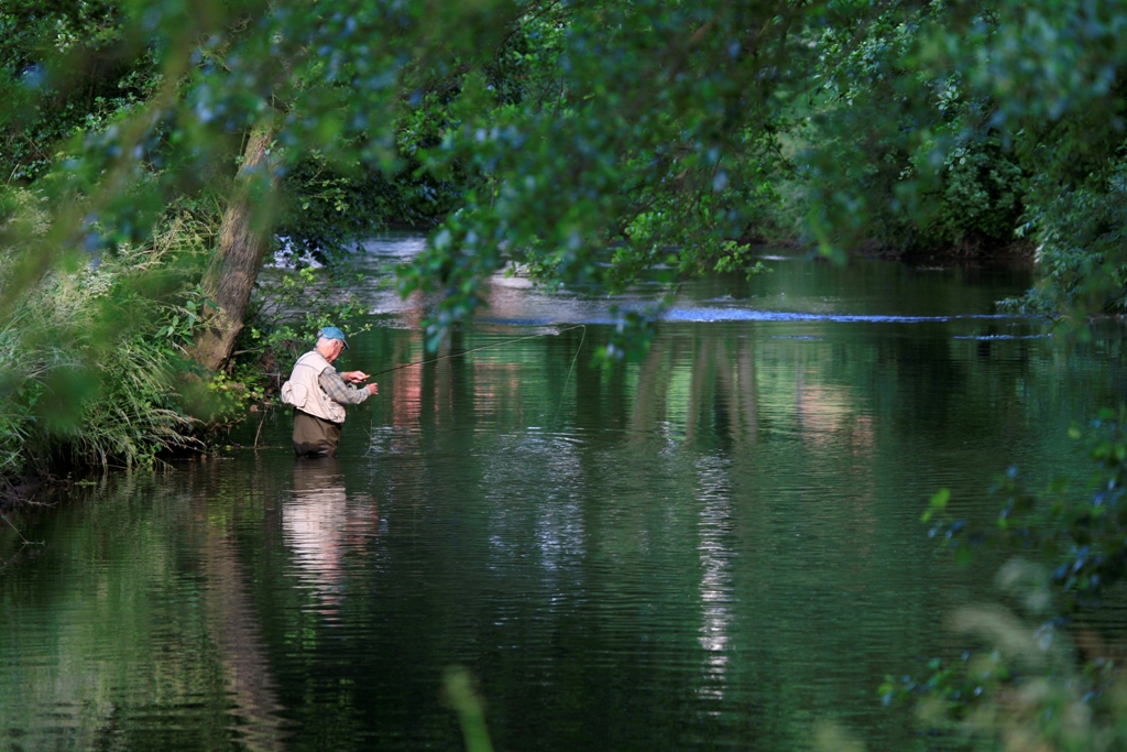 Fishing on river Rye - Tracey Phillips