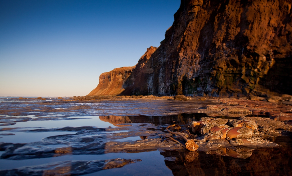 Saltburn cliffs - Mike Nicholas