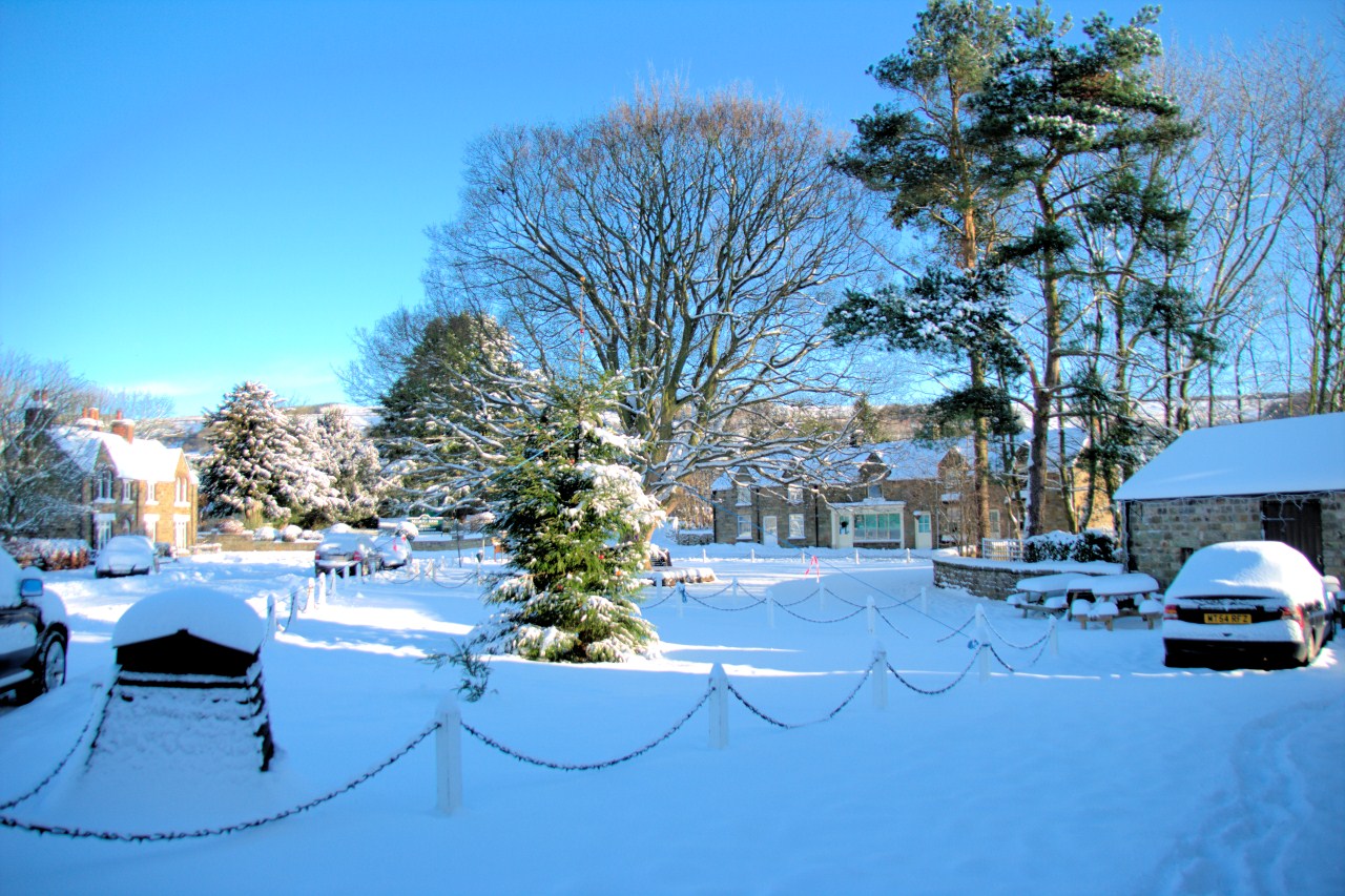 Village Green in Snow