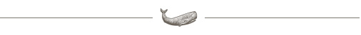 whale icon